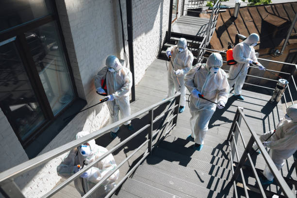 Best Mold Odor Removal Services  in Goodrich, MI