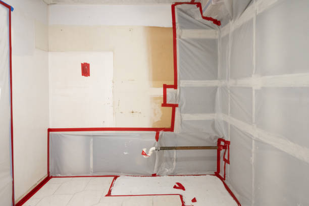 Best Mold Remediation for Healthcare Facilities  in Goodrich, MI