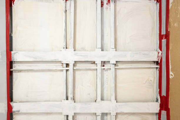 Best Forensic Mold Investigation  in Goodrich, MI
