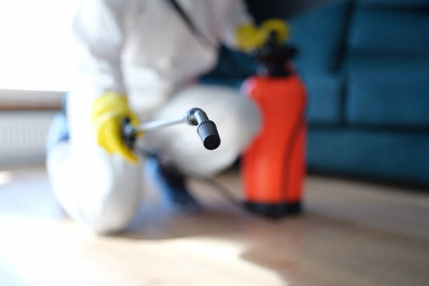Best Post-Remediation Verification Testing  in Goodrich, MI