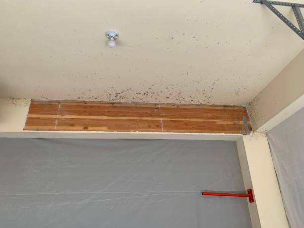 Best Indoor Air Quality Assessment  in Goodrich, MI